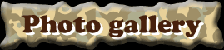 Photo gallery