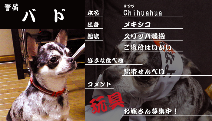 警備バド紹介